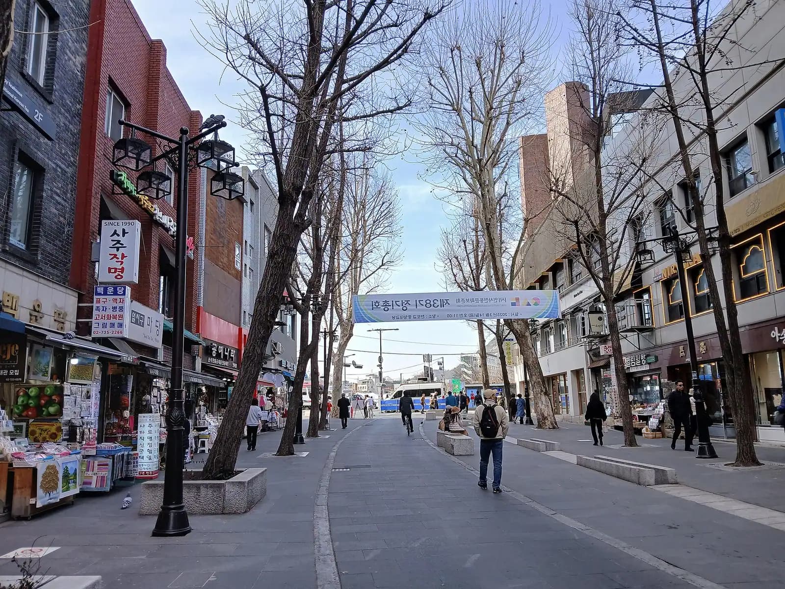 Insadong-gil pedestrian street with shopfronts, street lamps and bare trees in early spring