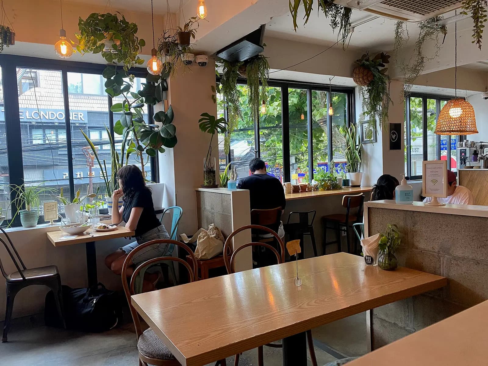 Plant-filled cafe interior in Itaewon, Seoul, with wooden tables and guests seated by the windows