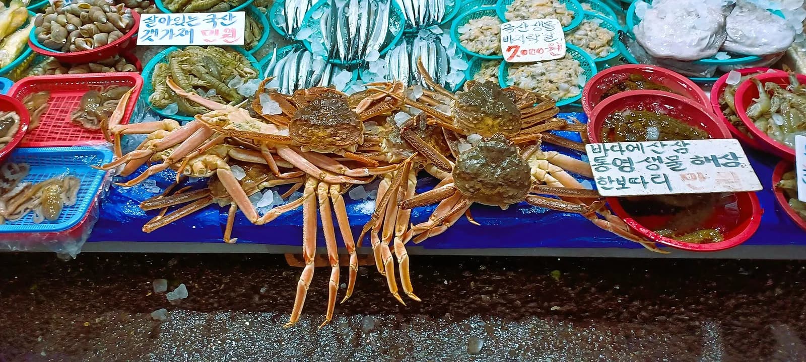 望遠市場海鮮攤的塑膠籃裡裝著螃蟹、貝類和小魚