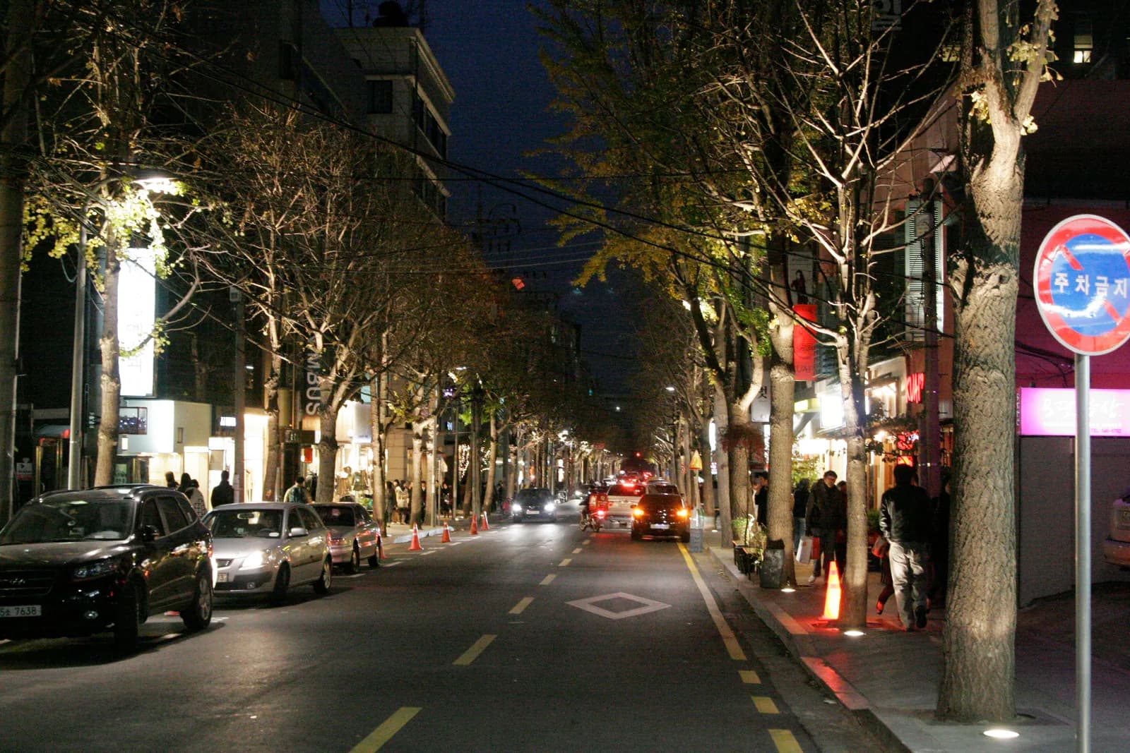 Garosu-gil street at dusk lined with ginkgo trees, parked cars and lit shopfronts