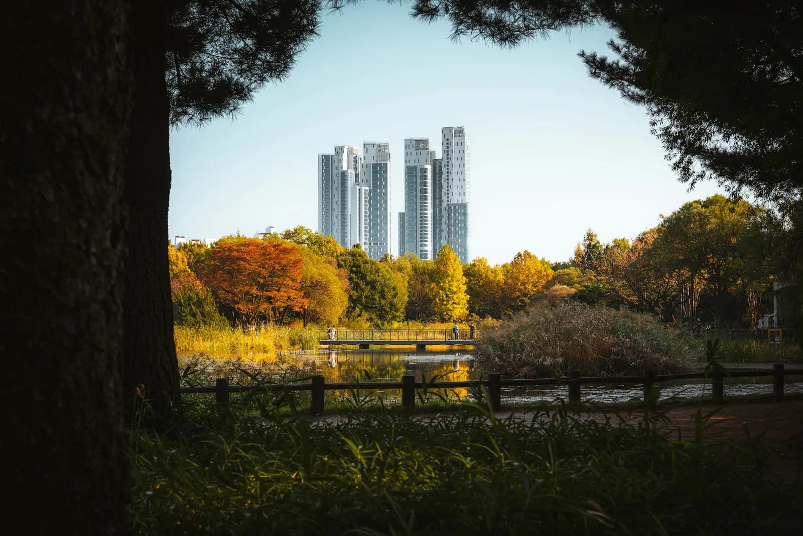 Pond and autumn trees in Seoul Forest Park with apartment towers rising behind